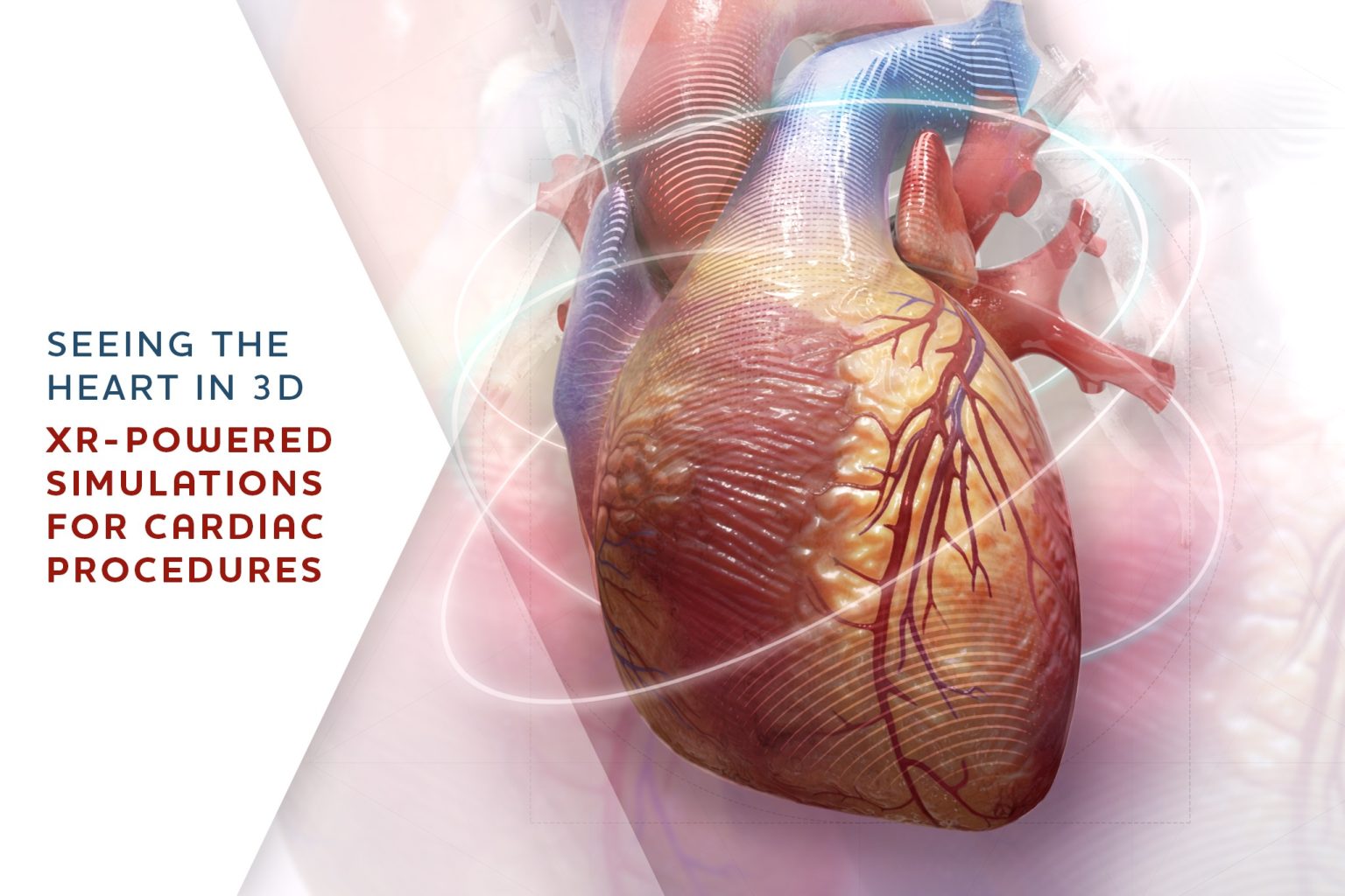 Seeing the Heart in 3D: XR-Powered Simulations for Cardiac Procedures